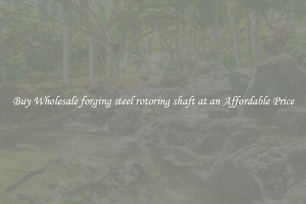 Buy Wholesale forging steel rotoring shaft at an Affordable Price