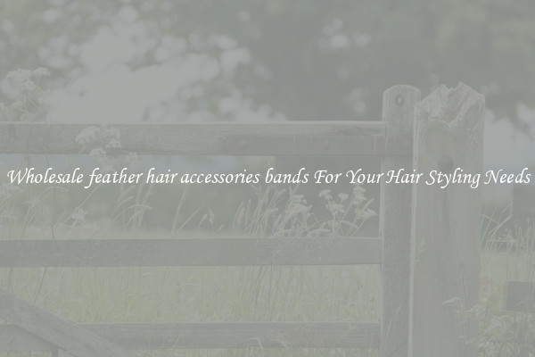 Wholesale feather hair accessories bands For Your Hair Styling Needs