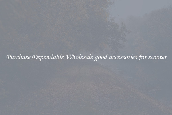 Purchase Dependable Wholesale good accessories for scooter
