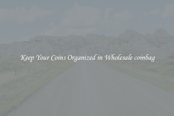 Keep Your Coins Organized in Wholesale coinbag
