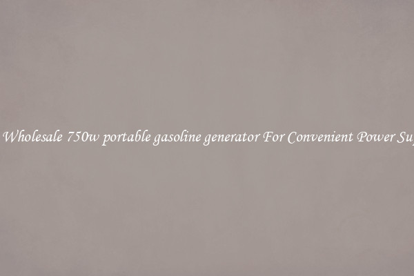 Get Wholesale 750w portable gasoline generator For Convenient Power Supply