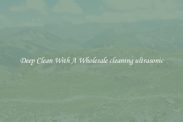 Deep Clean With A Wholesale cleaning ultrasonic