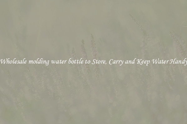 Wholesale molding water bottle to Store, Carry and Keep Water Handy