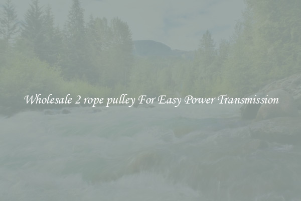 Wholesale 2 rope pulley For Easy Power Transmission