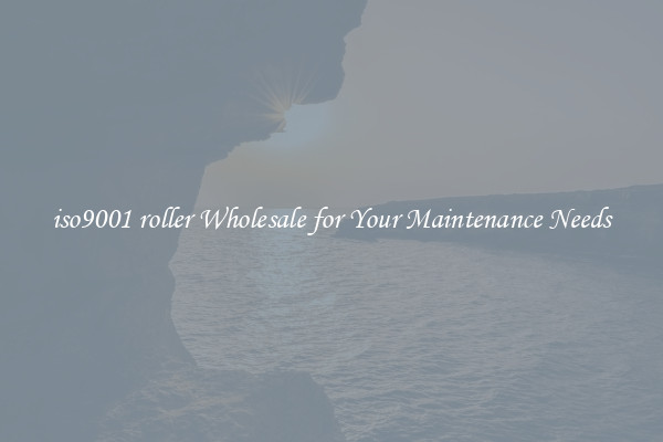 iso9001 roller Wholesale for Your Maintenance Needs