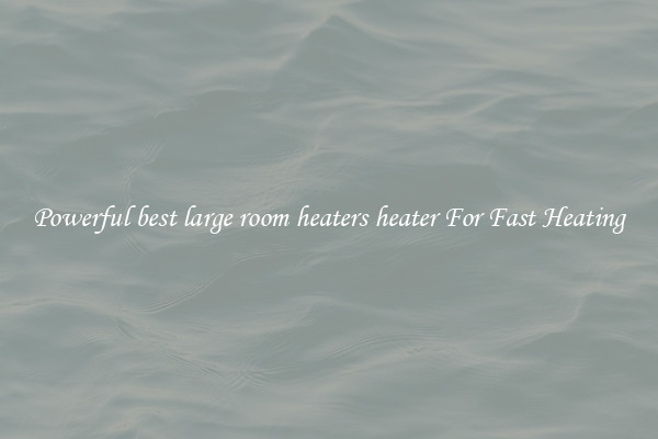 Powerful best large room heaters heater For Fast Heating