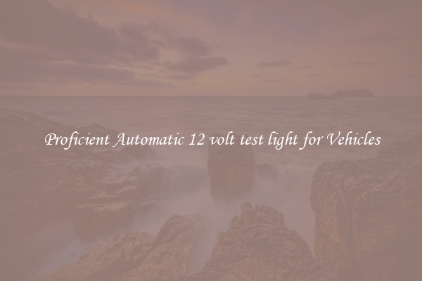 Proficient Automatic 12 volt test light for Vehicles