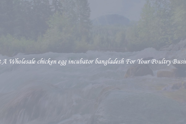 Get A Wholesale chicken egg incubator bangladesh For Your Poultry Business