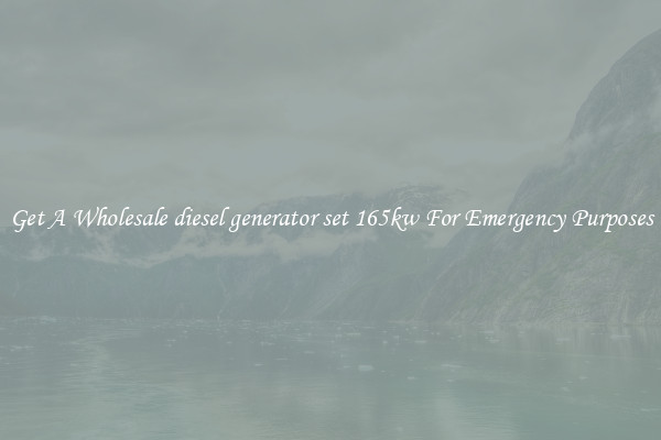 Get A Wholesale diesel generator set 165kw For Emergency Purposes