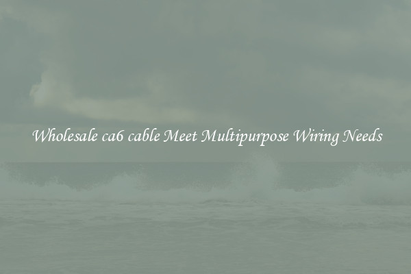Wholesale ca6 cable Meet Multipurpose Wiring Needs