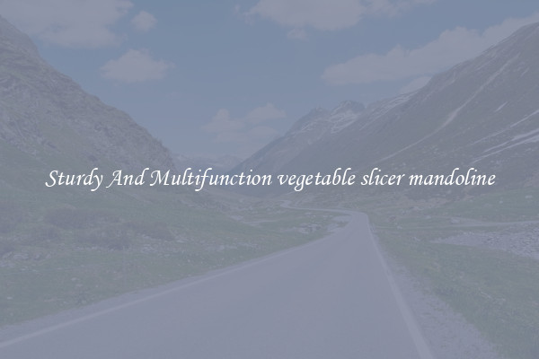 Sturdy And Multifunction vegetable slicer mandoline
