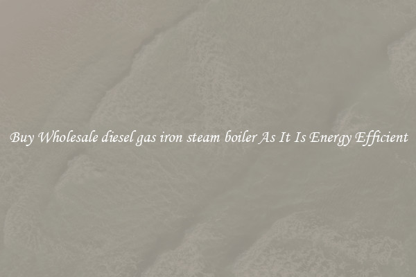 Buy Wholesale diesel gas iron steam boiler As It Is Energy Efficient
