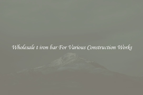 Wholesale t iron bar For Various Construction Works