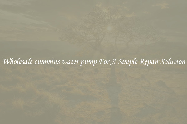 Wholesale cummins water pump For A Simple Repair Solution