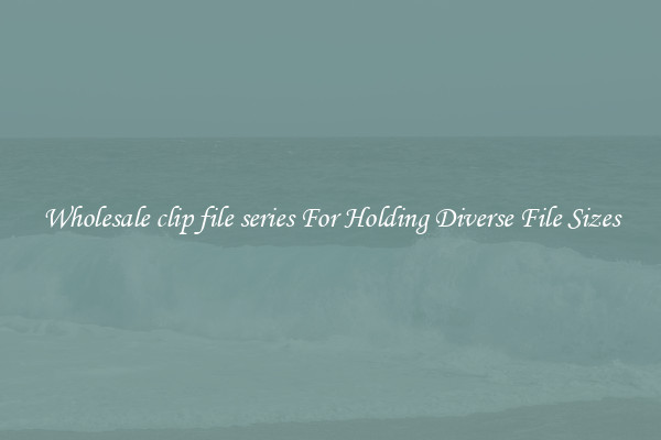 Wholesale clip file series For Holding Diverse File Sizes