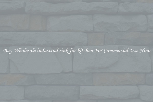 Buy Wholesale industrial sink for kitchen For Commercial Use Now