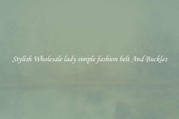 Stylish Wholesale lady simple fashion belt And Buckles