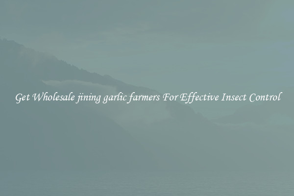 Get Wholesale jining garlic farmers For Effective Insect Control