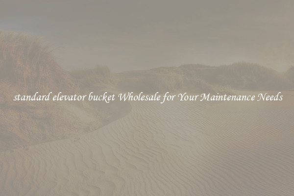 standard elevator bucket Wholesale for Your Maintenance Needs