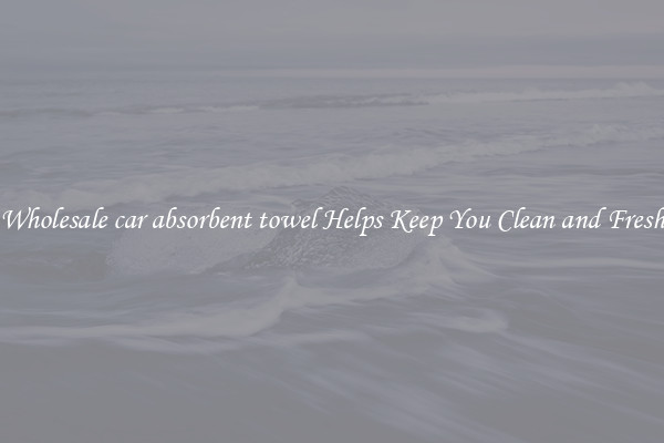 Wholesale car absorbent towel Helps Keep You Clean and Fresh