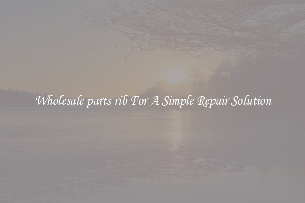 Wholesale parts rib For A Simple Repair Solution